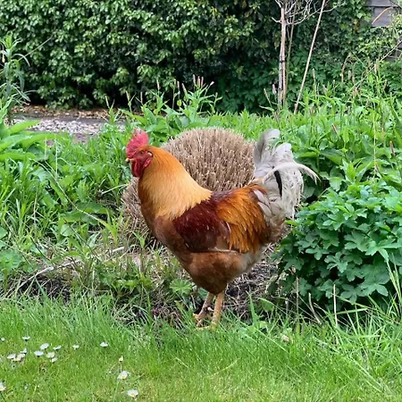 Luxury Private Near Amsterdam Cinema Ilpendam