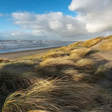 Luxury Private Near Amsterdam Cinema Σπίτι διακοπών Ilpendam